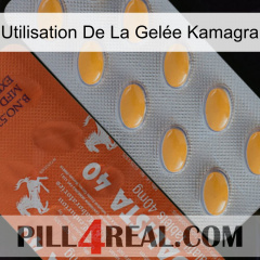 Utilisation De La Gelée Kamagra 43